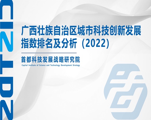 舔乳操逼网站【成果发布】广西壮族自治区城市科技创新发展指数排名及分析（2022）